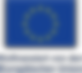 Logo EU